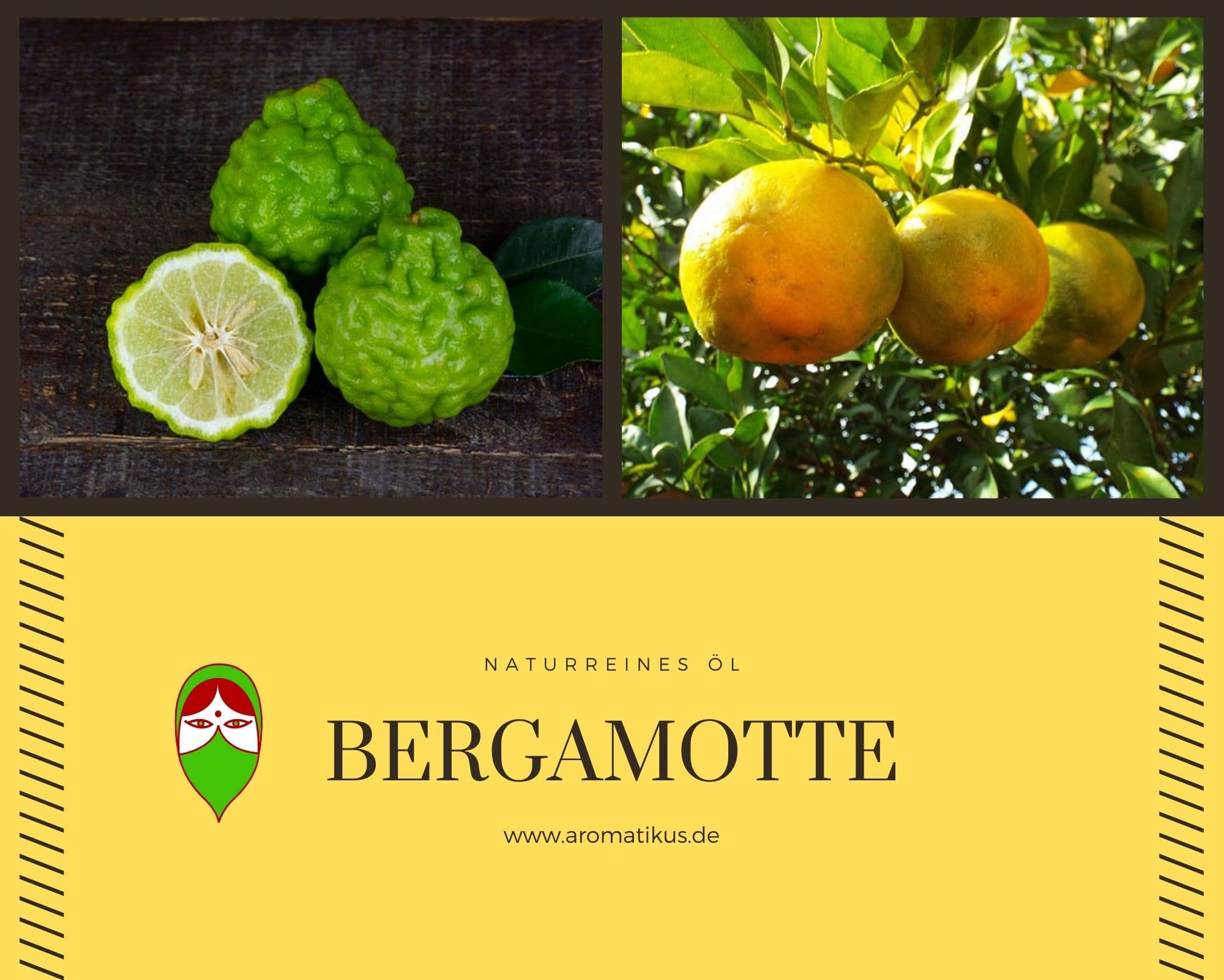 Ätherisches Duftöl Bergamotte als naturreines Öl von Aromatikus