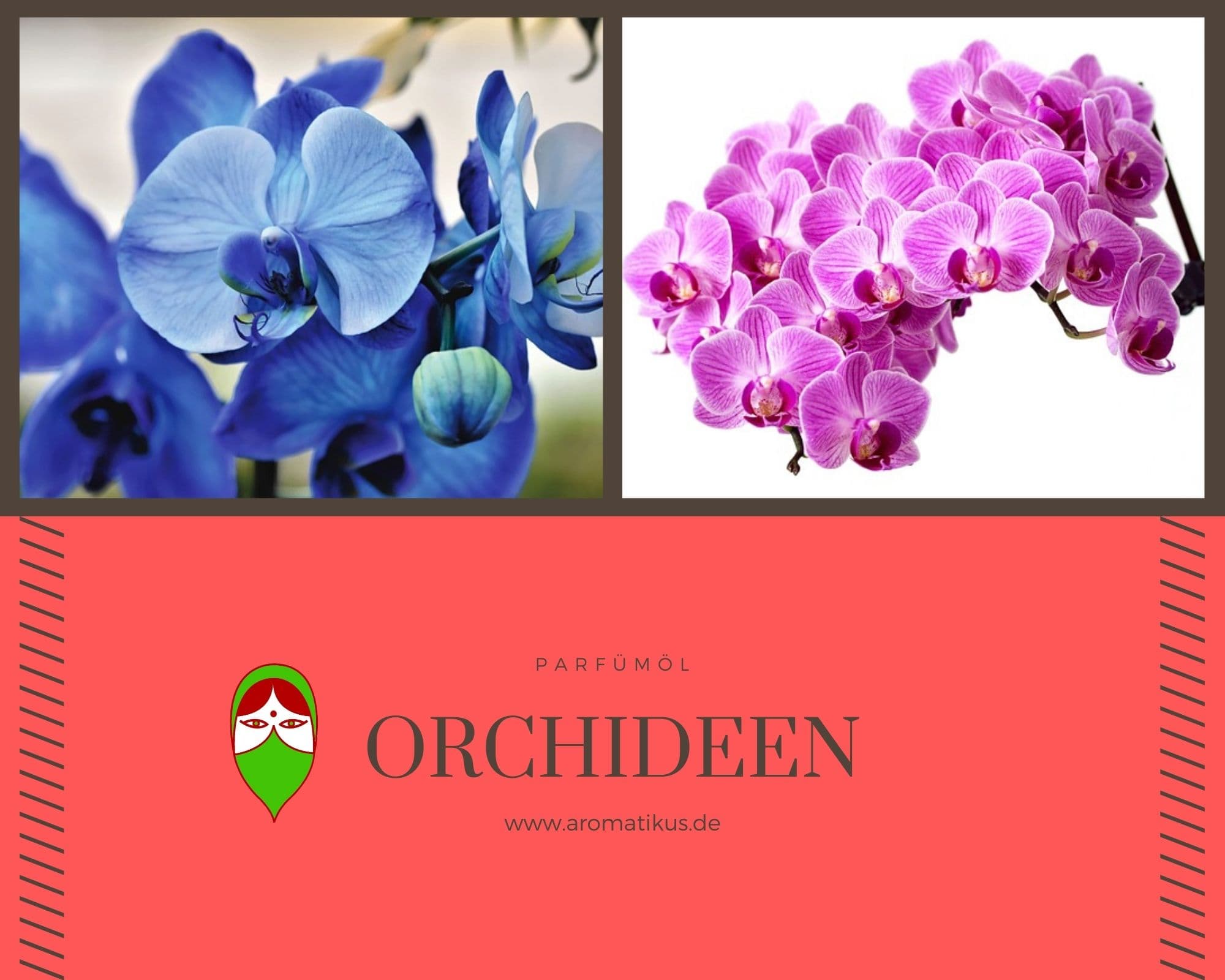 Ätherisches Duftöl Orchidee als Parfümöl von Aromatikus