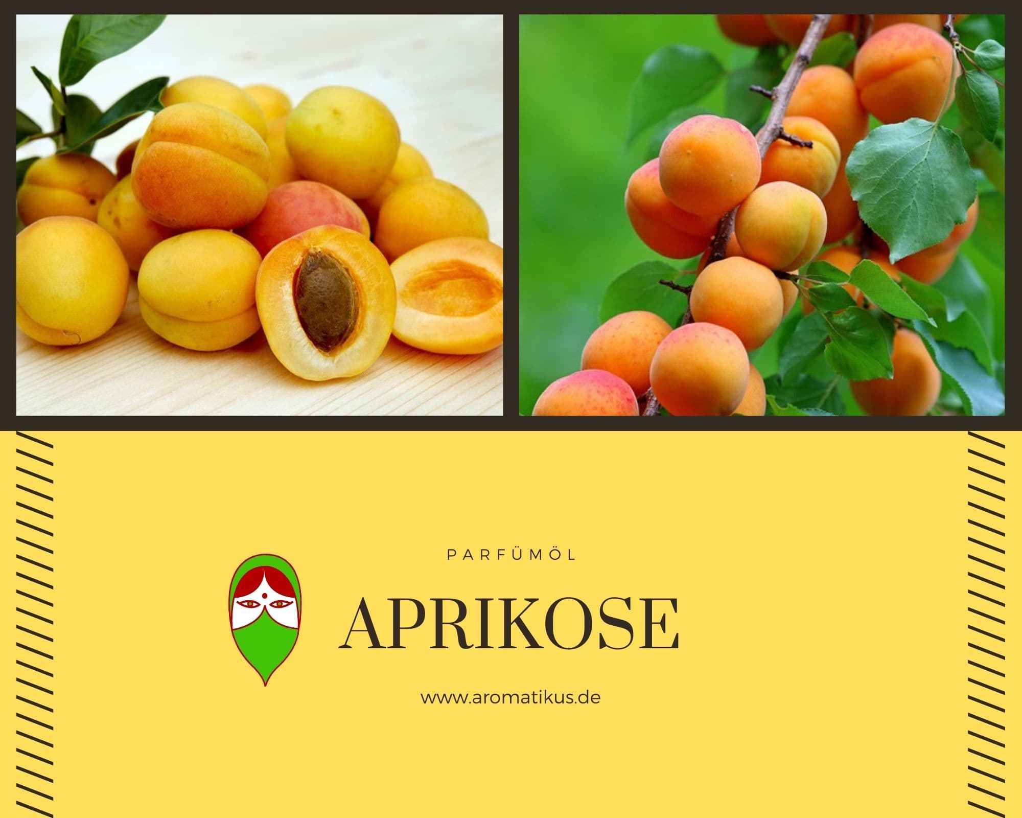 Ätherisches Duftöl Aprikose als Parfümöl von Aromatikus